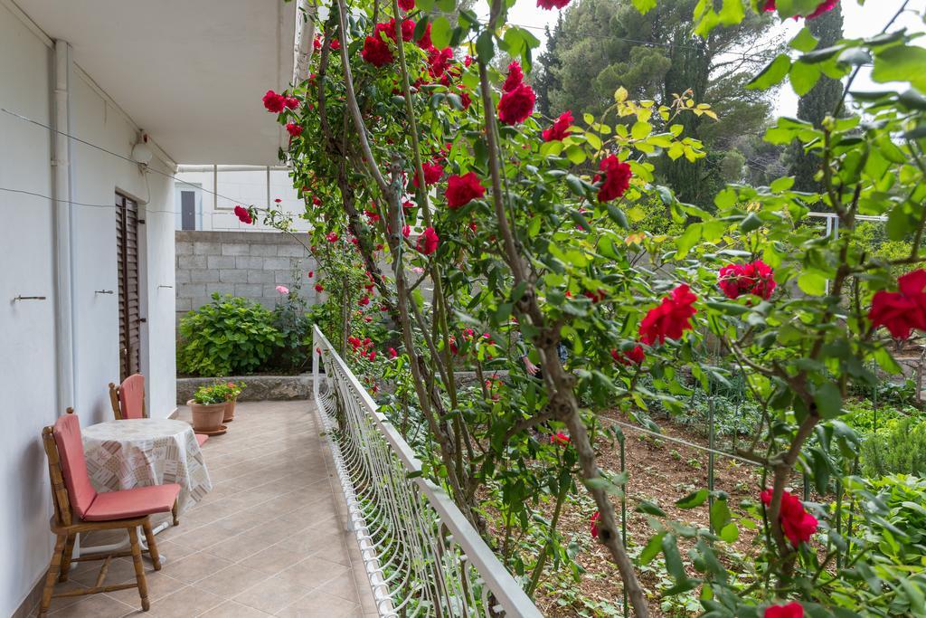 Villa Anka Cavtat Exterior photo